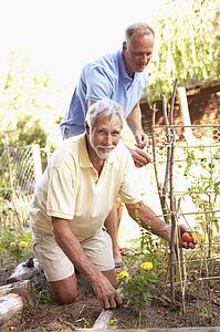 Senior Man And Adult Son Relaxing In Garden