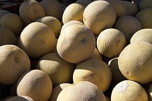 Pile Of Cantaloupe
