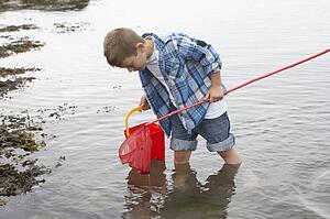 Boy collecting shells