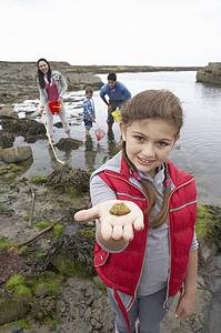 Young family at beach collecting shells