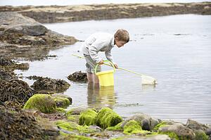Boy on beach collecting shells