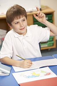 Schoolboy Studying In Classroom