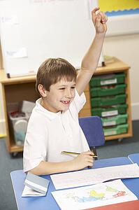 Schoolboy Studying In Classroom