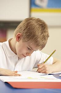 Schoolboy Studying In Classroom