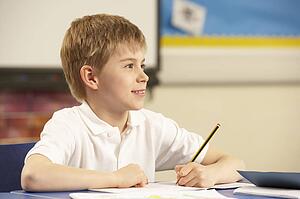 Schoolboy Studying In Classroom