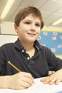 Schoolboy Studying In Classroom