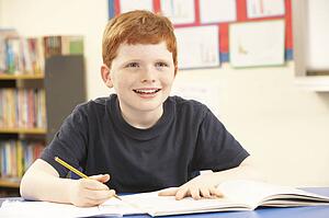 Schoolboy Studying In Classroom