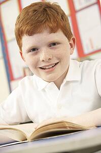 Schoolboy Studying In Classroom
