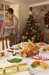 Young couple at home at Christmas