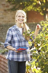 Woman picking fruit on allotment