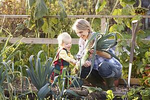 Woman working on allotment with child