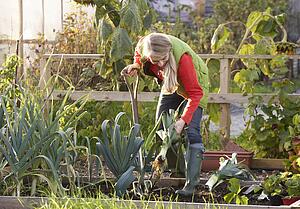 Woman working on allotment