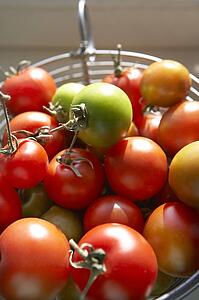 Close up fresh tomatoes