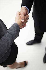 Detail businessman and woman shaking hands