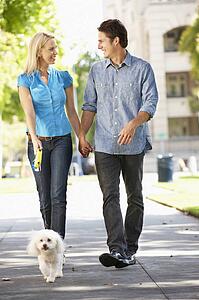 Couple walking with dog in city street