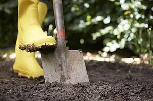 Person digging in garden
