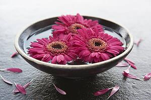 Flower heads in bowl of water