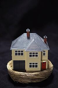 Model house in a basket