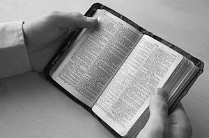 Young man reading bible