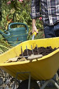Man working in garden