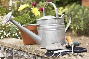 Still Life Of Gardening Equipment
