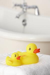 Rubber ducks in bathroom