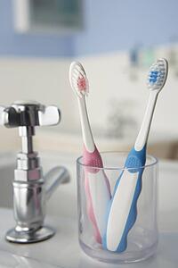 Toothbrushes in bathroom