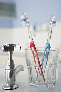 Toothbrushes in bathroom