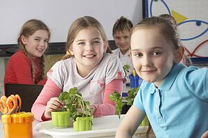 Children learning about plants in school class