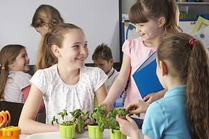 Children learning about plants in school class