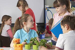 Children learning about plants in school class