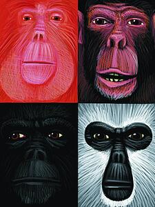 Apes