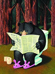Bear in Woods