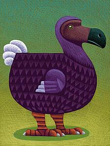 Dodo