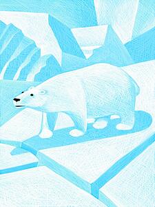 Polar Bear