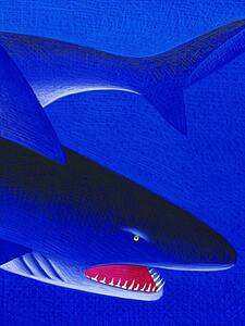 Shark