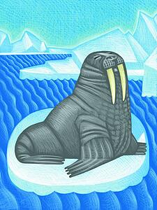 Walrus