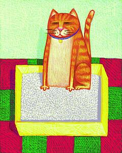 Cat Box