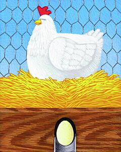Chicken