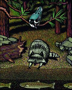Fauna