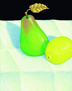 Fruit