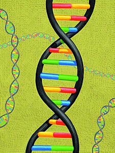 DNA