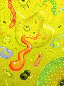 Germs