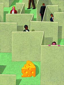 Maze