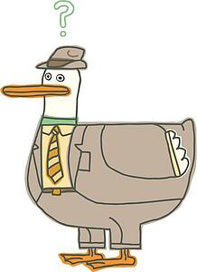 Duck at Work
