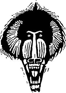 Baboon