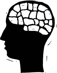 Brain