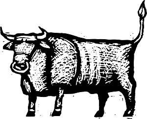 Bull
