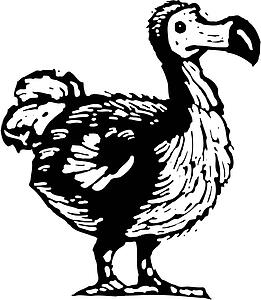 Dodo