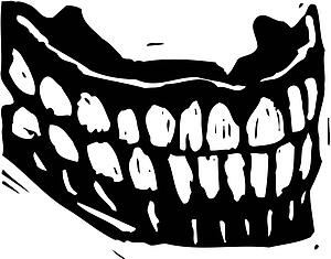 False Teeth